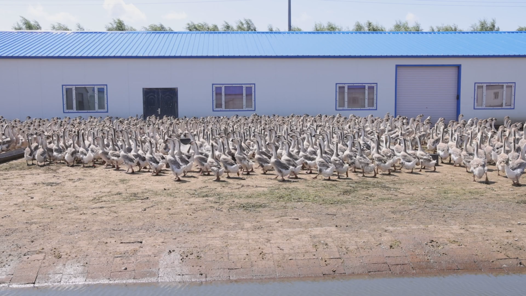 1761211359329046301.png 5.png