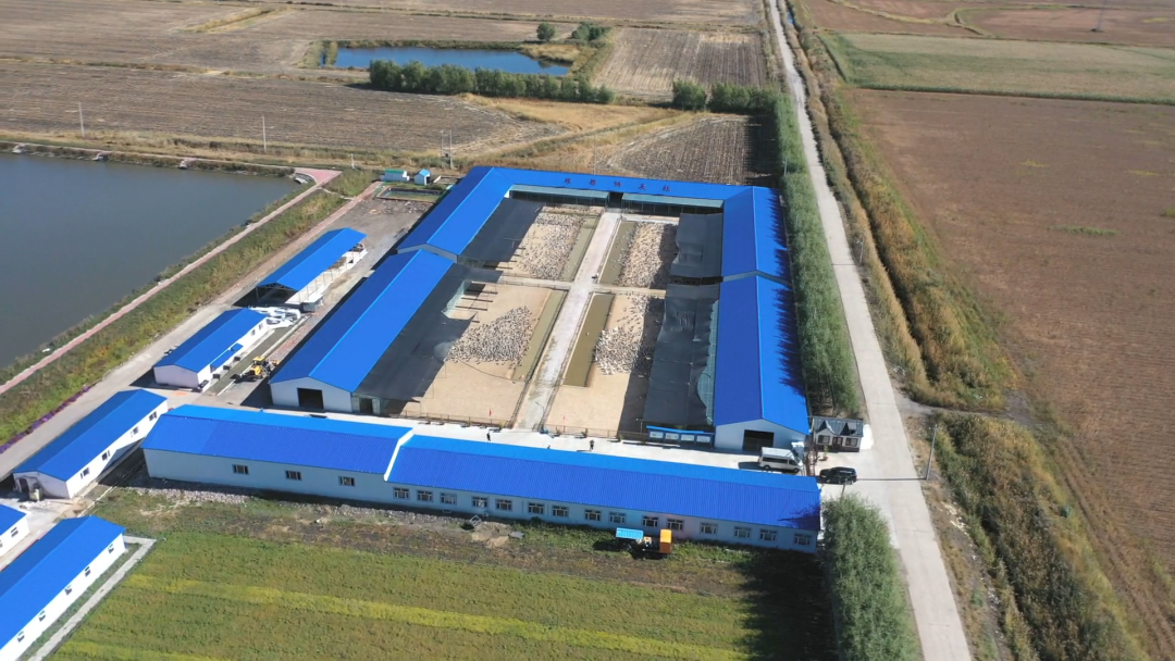 1761211372042018975.png 1.png