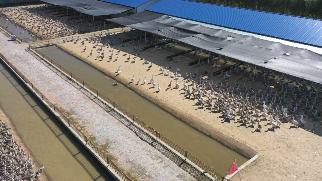 1761211373616025269.png 2.png