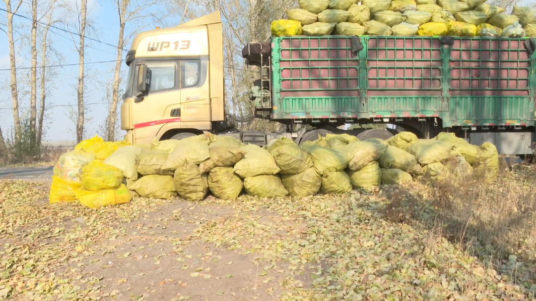 1762237437749046101.png 06.png