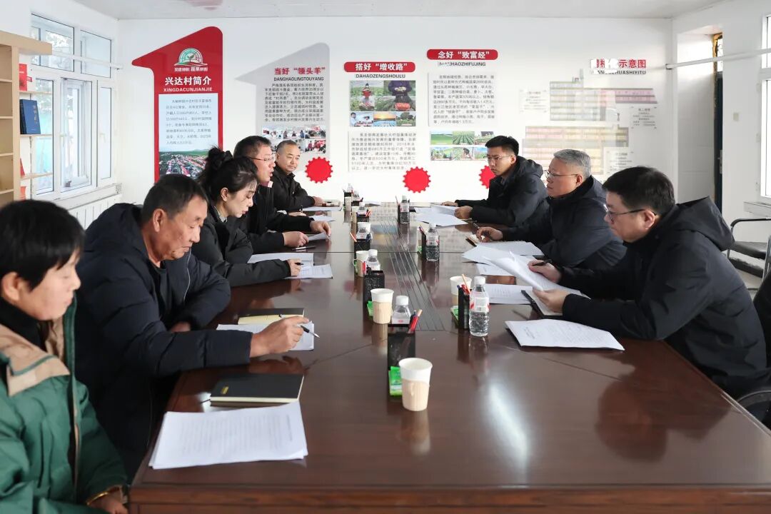 1763949724247081176.jpg 01.jpg